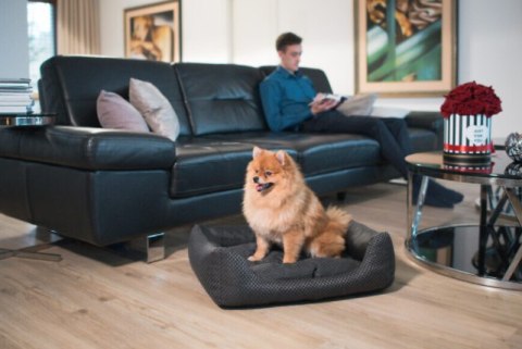 AMIPLAY Sofa ZipClean 4 in 1 Morgan Biała S Amiplay