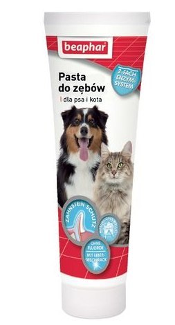 BEAPHAR Pasta Do Zębów Dla Psów I Kotów O Smaku Mięsa 100g BEAPHAR