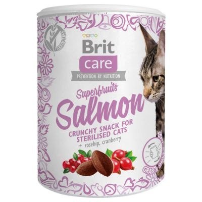 Brit Care Cat Snack Superfruits Salmon 100g Brit