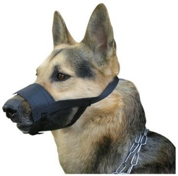 Dingo Kaganiec Weterynaryjny Nylonowy Dla Psa Rozmiar 5 23-28cm Dingo
