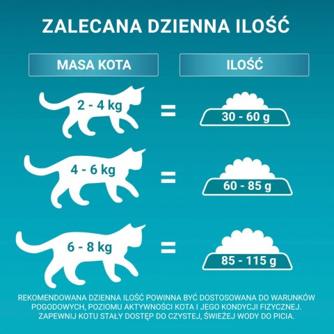 Purina One Cat Adult Karma Z Łososiem Dla Kota 800g PURINA ONE