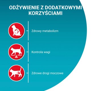 Purina One Cat Sterilcat Karma Z Łososiem Dla Kota 800g PURINA ONE