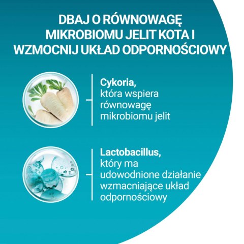 Purina One Junior Karma Z Kurczakiem Dla Kociąt 800g PURINA ONE