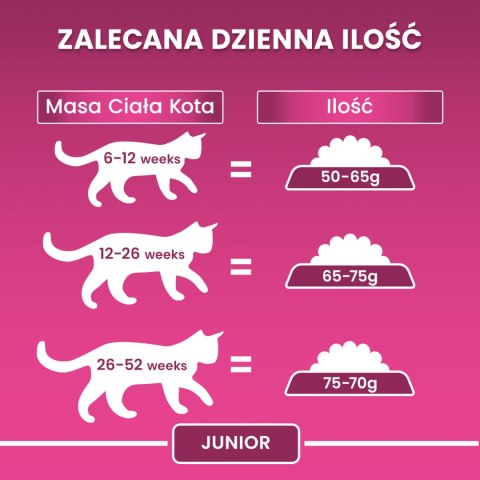 Purina One Junior Karma Z Kurczakiem Dla Kociąt 800g PURINA ONE