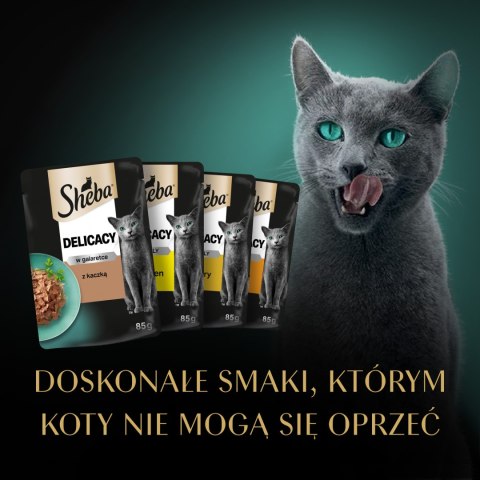 Sheba Delicacy Drobiowe Smaki W Galaretce, Z Kaczką, Z Kurczakiem, Z Drobiem, Z Indykiem 80x85g Sheba
