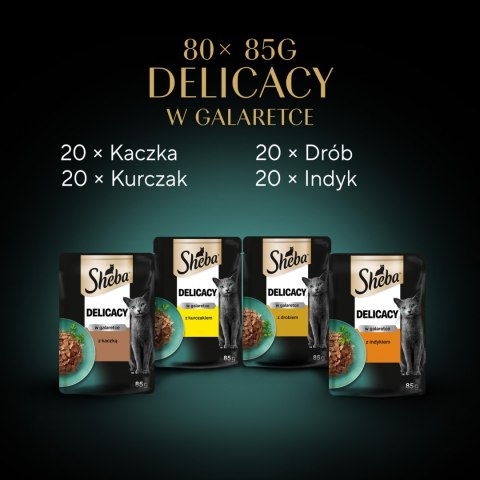 Sheba Delicacy Drobiowe Smaki W Galaretce, Z Kaczką, Z Kurczakiem, Z Drobiem, Z Indykiem 80x85g Sheba