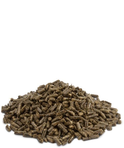 Versele-Laga Crispy Pellets Chinchilla & Degu 1kg Versele-Laga