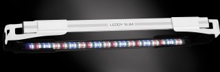 AQUAEL Leddy Slim 10W Plant Biały 2.0 AQUA EL