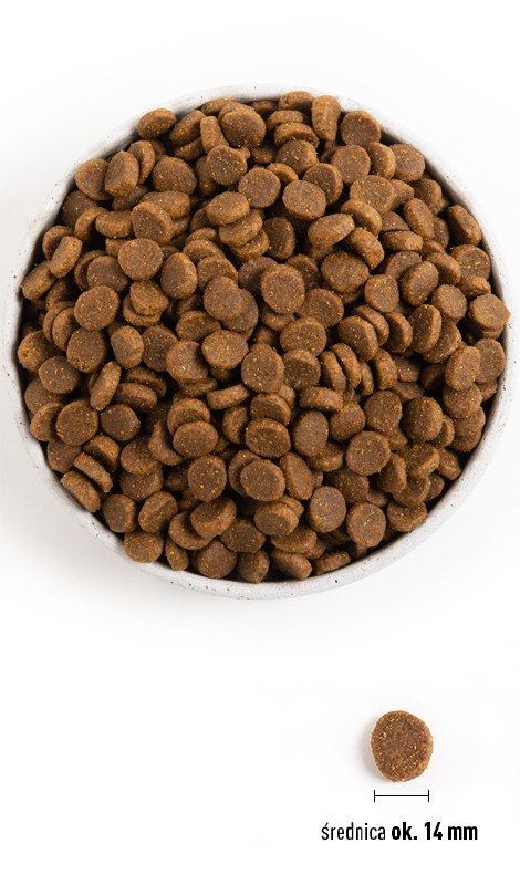 Acana Heirtage Senior Dog 2kg Acana