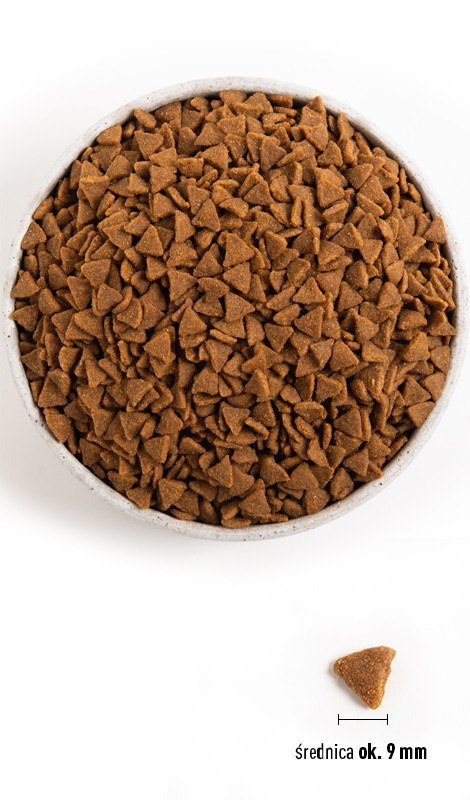 Acana Homestead Harvest Cat 340g Acana