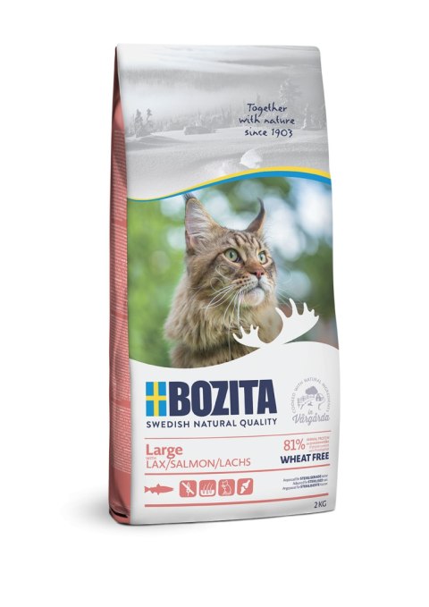 BOZITA Large Z Łososiem 2kg Bozita