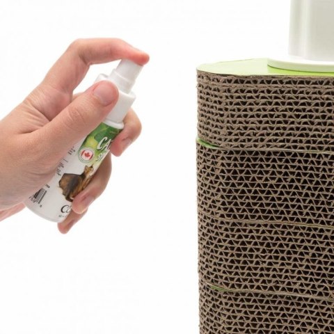 CATIT Kocimiętka W Sprayu 60ml Catit
