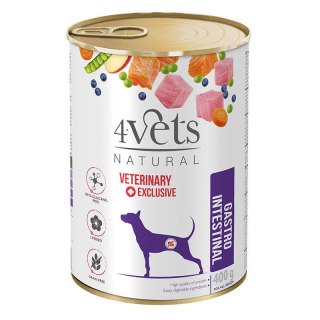 Dolina Noteci 4Vets Gastro Intestinal Dla Psów 400g 4Vets Natural