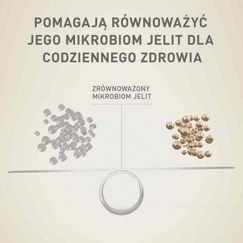 PURINA ONE Mini Active Kurczak, ryż - sucha karma dla psa - 800g PURINA ONE