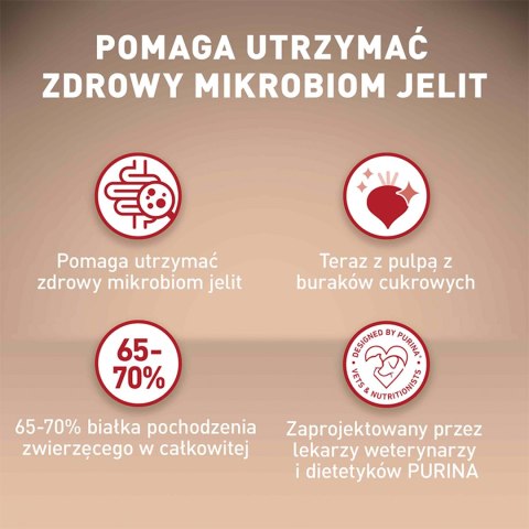 PURINA ONE Mini Adult Wołowina, ryż - sucha karma dla psa - 800g PURINA ONE