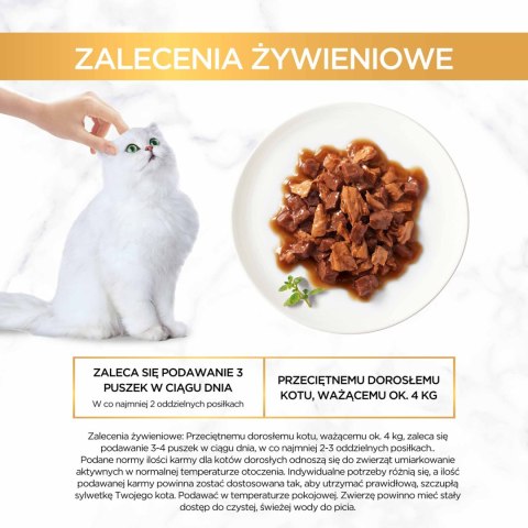 Purina Gourmet Gold kaczka/indyk w sosie 85g Gourmet