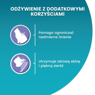 Purina One Cat Coat & Hairball Karma dla kotów z kurczaka 800g PURINA ONE