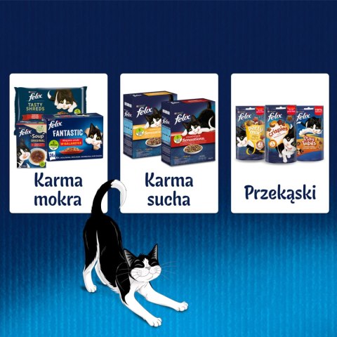 Felix Sensations Sauces Karma Dla Kota Smaki Rybne W Sosie 4x85g Felix