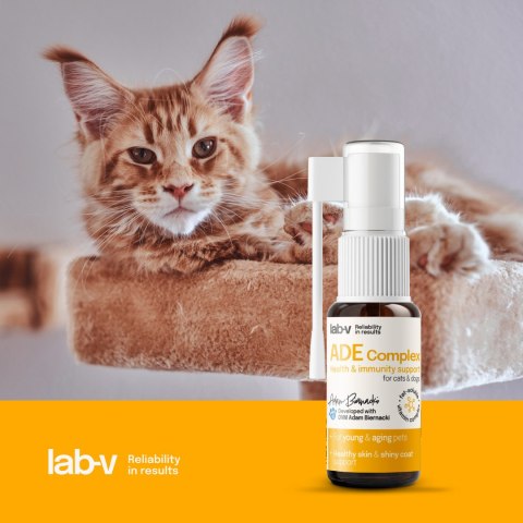 Lab-v ADE Complex Kompleks Witamin A, D I E W Formie Spreju Dla Psów I Kotów 2 x 10ml LAB-V