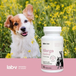 Lab-v Allerga Control Wsparcie Przy Objawach Alergii 45 Kapsułek LAB-V