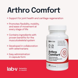 Lab-v Arthro Comfort Kompleksowe Wsparcie Zdrowia Stawów I Układu Ruchu Dla Psów I Kotów 45 Kapsułek LAB-V