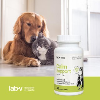 Lab-v Calm Support Wspomaganie Przy Objawach Stresu I Zaburzeniach Behawioralnych 45 Kapsułek LAB-V