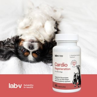 Lab-v Cardio Regeneration Wsparcie Prawidłowego Funkcjonowania Pracy Serca I Układu Krążenia Dla Psów I Kotów 45 Kapsułek LAB-V