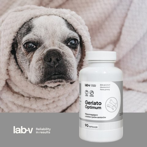 Lab-v Geriato Optimum Wspomaganie Zdrowia Seniorów Dla Psów I Kotów 90 Kapsułek LAB-V