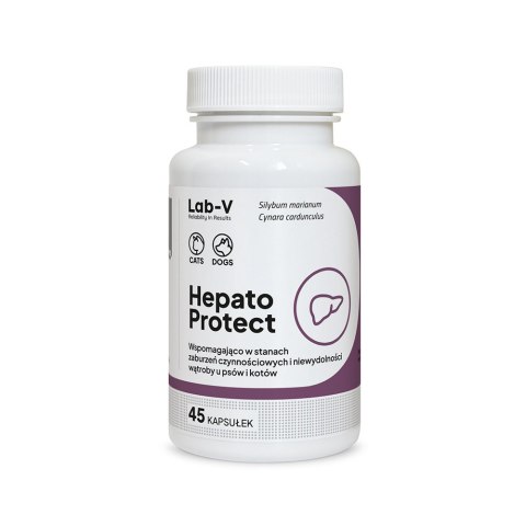 Lab-v Hepato Protect Wspomaganie Funkcji Wątroby Dla Psów I Kotów 45 Kapsułek LAB-V