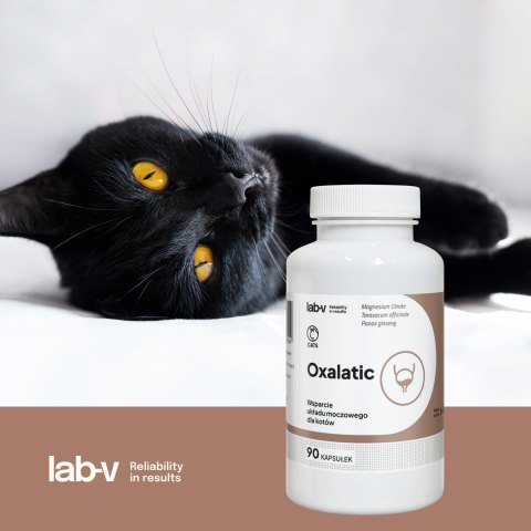 Lab-v Oxalatic Wsparcie Dla Kotów Przy Tworzeniu Się Kamieni Oksalatowych 45 Kapsułek LAB-V
