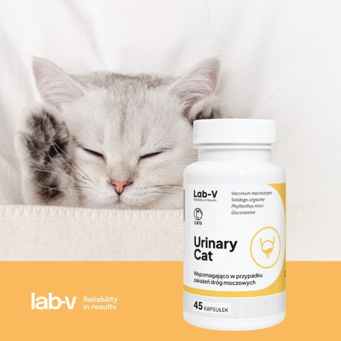 Lab-v Urinary Cat Wsparcie Układu Moczowego Dla Kotów 45 Kapsułek LAB-V