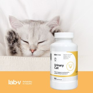 Lab-v Urinary Cat Wsparcie Układu Moczowego Dla Kotów 90 Kapsułek LAB-V
