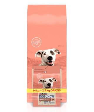PURINA Dog Chow Adult Sensitive Salmon 16,5kg (14kg + 2,5kg GRATIS) Purina Dog Chow