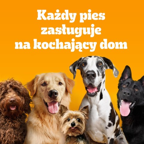Pedigree Adult Professional Nutrition Drób Warzywa 12kg Pedigree