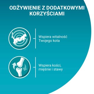 Purina One Adult Karma Dla Kota Z Kurczakiem I Zieloną Fasolką 85g PURINA ONE