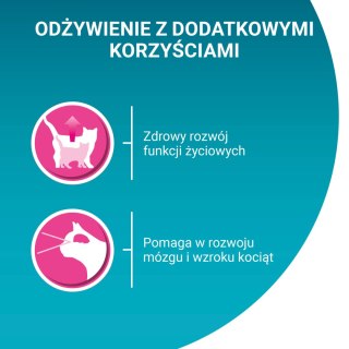 Purina One Junior Karma Dla Kociąt Z Łososiem I Marchewką 85g PURINA ONE