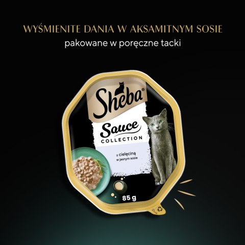 Sheba Sauce Collection Karma Mokra Dla Kota Z Cielęciną W Sosie 85g Sheba