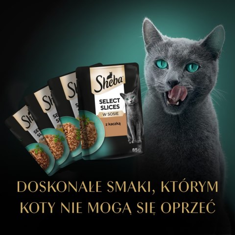 Sheba Selection Karma Dla Kota Drobiowe Smaki 120x85g Sheba