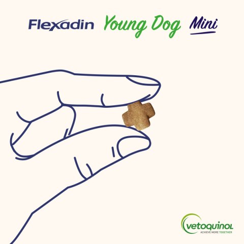Vetoquinol Flexadin Young Dog Mini Kąski Dla Psa 60 Sztuk Vetoquinol