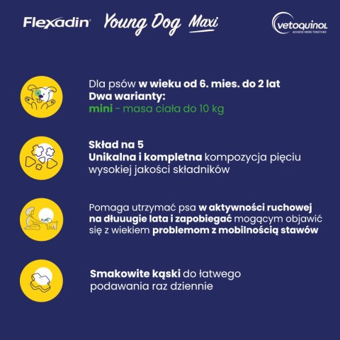 Vetoquinol Flexadin Young Dog Mini Kąski Dla Psa 60 Sztuk Vetoquinol