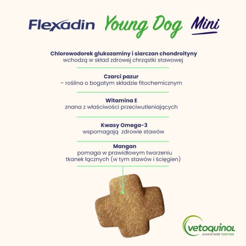 Vetoquinol Flexadin Young Dog Mini Kąski Dla Psa 60 Sztuk Vetoquinol