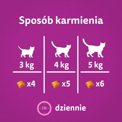 Whiskas Energia I Witalność Przysmak Dla Kota Z Kurczakiem 45g Whiskas