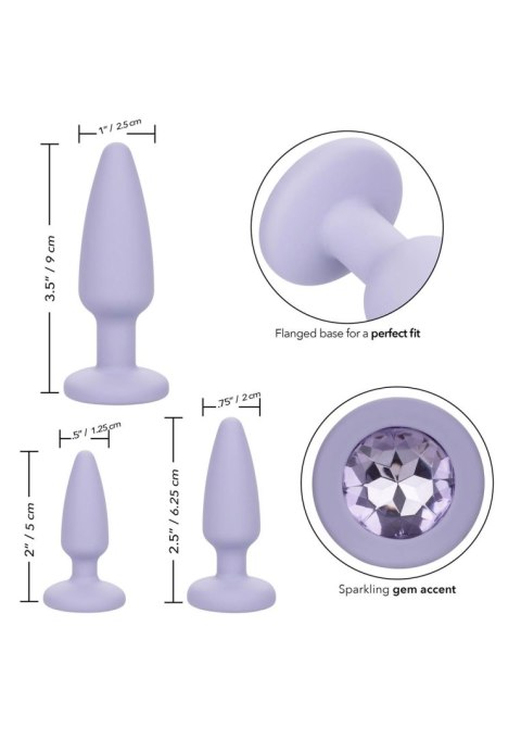Crystal Booty Kit Purple CalExotics