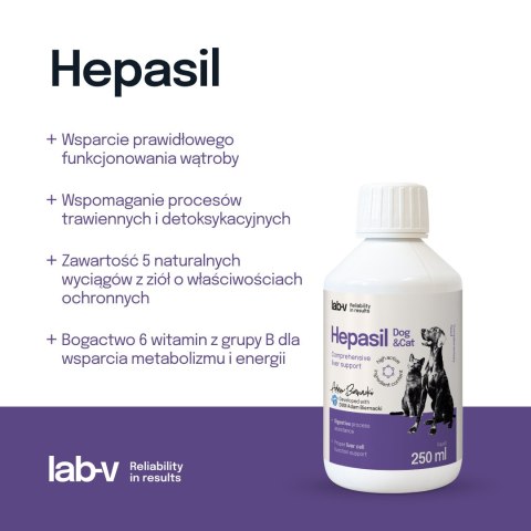 Lab-V Hepasil Dog & Cat Preparat Na Wątrobę Dla Psa I Kota 250ml LAB-V