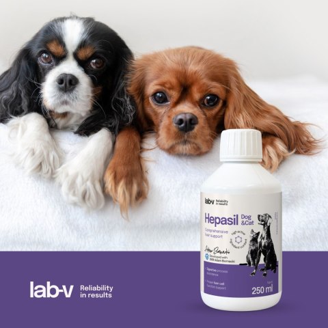 Lab-V Hepasil Dog & Cat Preparat Na Wątrobę Dla Psa I Kota 250ml LAB-V