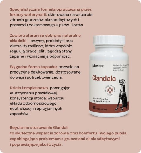 Lab-v Glandala Wsparcie Gruczołów Okołoodbytowych i Przewodu Pokarmowego 45 Kapsułek LAB-V