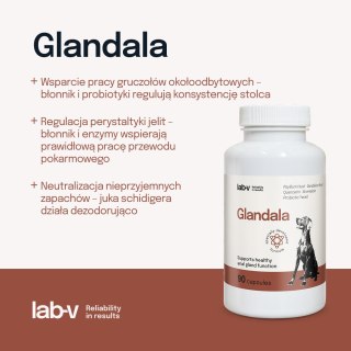 Lab-v Glandala Wsparcie Gruczołów Okołoodbytowych i Przewodu Pokarmowego 90 Kapsułek LAB-V