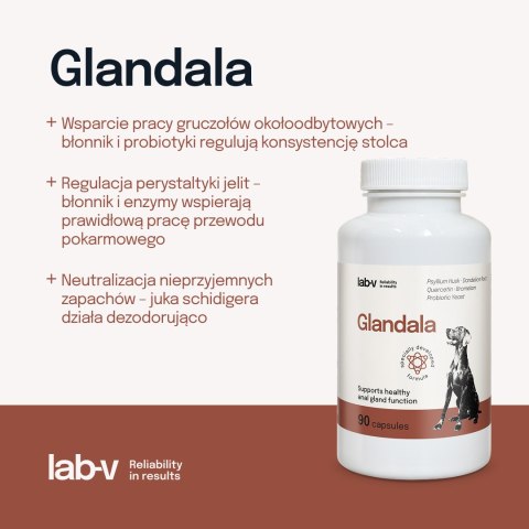 Lab-v Glandala Wsparcie Gruczołów Okołoodbytowych i Przewodu Pokarmowego 90 Kapsułek LAB-V