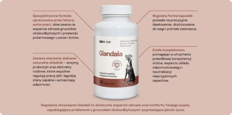 Lab-v Glandala Wsparcie Gruczołów Okołoodbytowych i Przewodu Pokarmowego 90 Kapsułek LAB-V