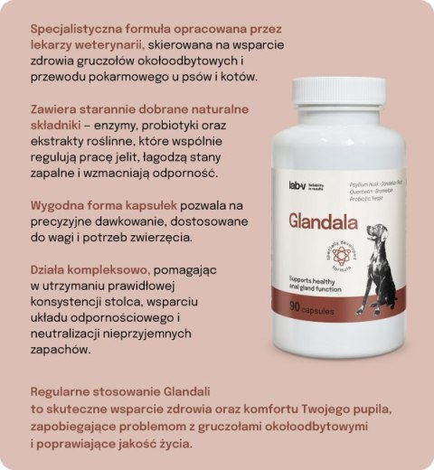 Lab-v Glandala Wsparcie Gruczołów Okołoodbytowych i Przewodu Pokarmowego 90 Kapsułek LAB-V